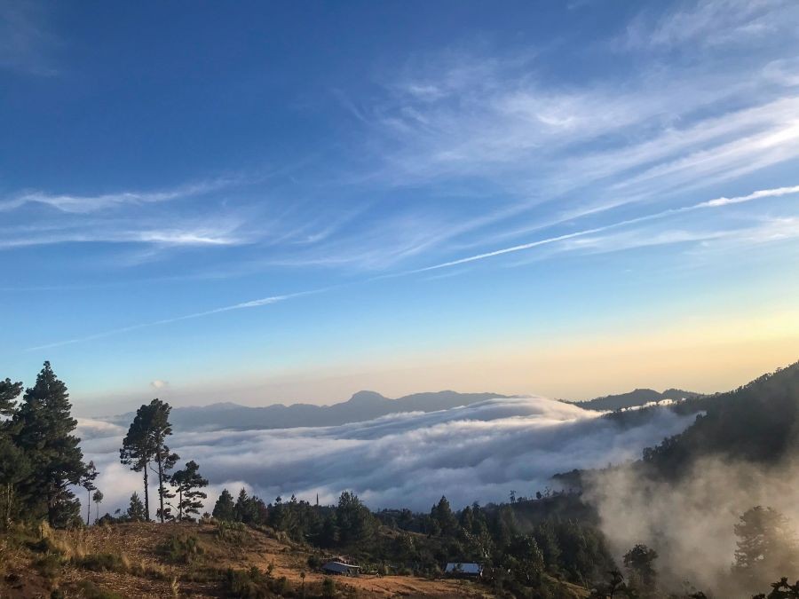 Svahy regionu Puebla, kde se pěstuje káva Mexico Dos Rios