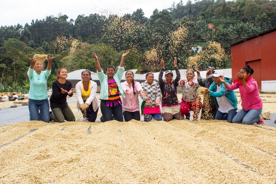 Farmáři z Nikaragua Finca Aurora