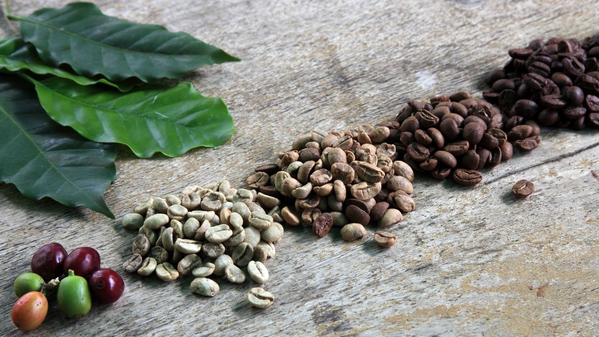 Jaký je rozdíl mezi komoditní a výběrovou kávou?