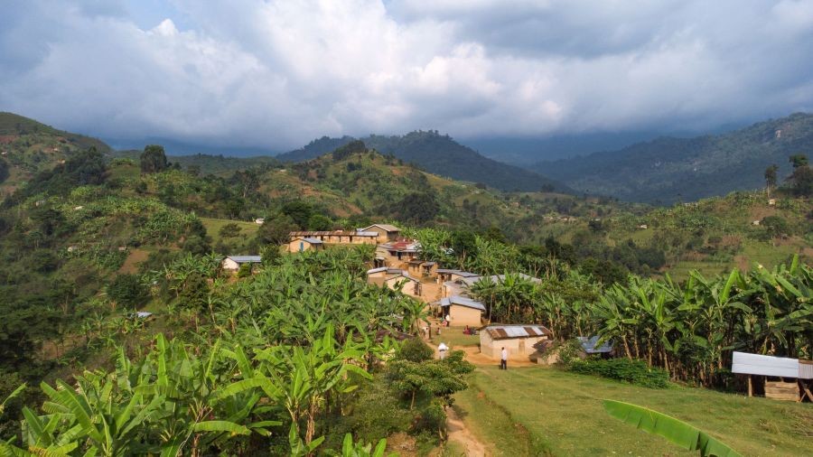 Kávové farmy na svazích Mount Elgon