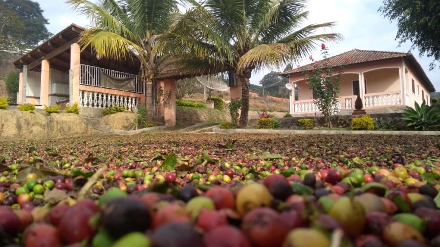 Program AmeCafé Mantiqueira sdružující více než 60 žen z oblasti Mantiqueira v Minas Gerais