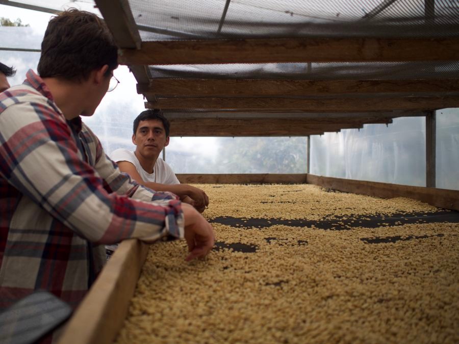 Kávová plantáž Peru Luz Mely Sanchez