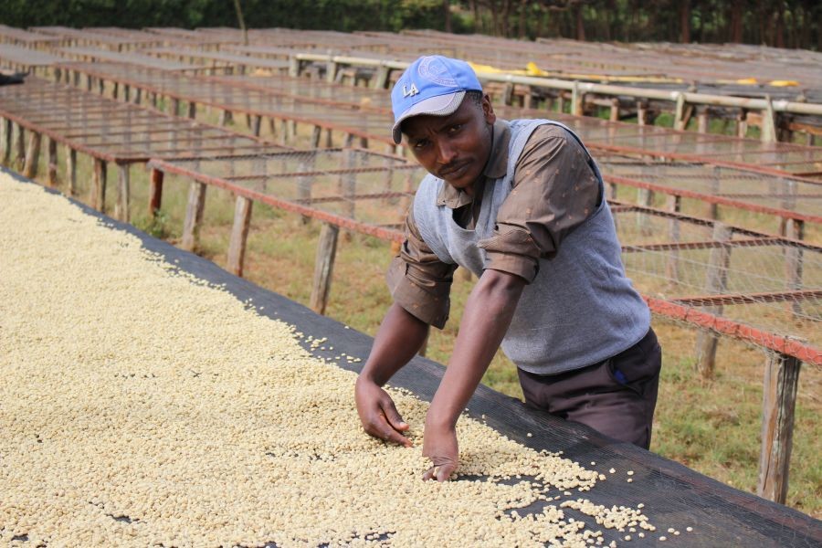 Zpracovatelská stanice Keňa Kiamabara